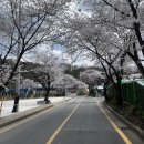 궁말로 | 과천 경마공원 맛집 봉덕칼국수 내돈내산 주말 웨이팅 1시간 후기