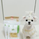 댕댕이연구소 | 가성비 좋은 강아지치석제거껌 댕댕이연구소 티덴브러쉬, 강아지생일에는 간식만큼 좋은 게 없죠!