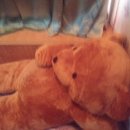 곰돌이노래방 이미지