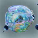 수한방병원 이미지