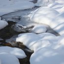 100-1-000001 이미지