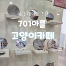 701아를고양이카페(cat in the art) | [공지] 하남 미사 이색 데이트 예술이 공존하는 고양이 카페 701아를
