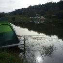 대물낚시 이미지