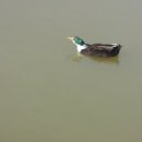 평화공원(내부) 이미지