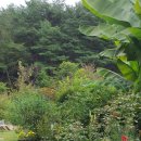 노을정원 이미지