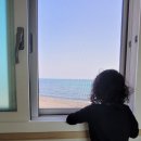 금성브릿지 민박 이미지