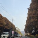 만의골로 이미지