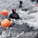 빛나수산 이미지