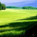 1등급과외 이미지