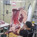 최고다푸줏간 - 수원시 권선구 금곡로 46 | 최고다푸줏간