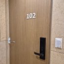 스테이 심플 | [서울] 종로3가 조식 제공되는 숙소 '심플스테이 호텔' 솔직 후기