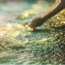 서울와이즈요양병원 이미지