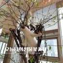 나무타는고양이 구경하는강아지 | 전주 고양이 카페 강아지도 있는 신시가지 오늘나의선물꽃카페