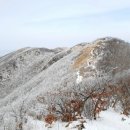 엘사랑
