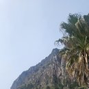 원앤온리 이미지