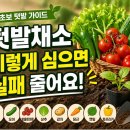 유인농장 | 시민텃밭 주말농장 채소 키우기 초보 가이드｜품목별 심는 방법과 물 주는 주기