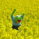 조선블루스 콘서트 이미지