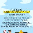 나은동물병원 이미지