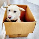 표선동물병원 이미지