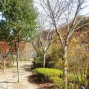 여울어린이공원 이미지