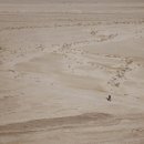 풍호초등학교사거리 | 영어학원 비욘드잉글리쉬 자은캠퍼스 창원 진해구 자은동 휴학 제도 같은 게 있을까?