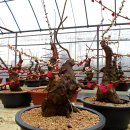 드리머비 이미지