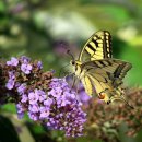 경희주유소 이미지