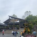 트랜스투어 | 충칭 여행 추천 직접 다녀온 우롱 투어 후기 - 천생삼교부터 용수협까지 감탄했던 대자연 여행