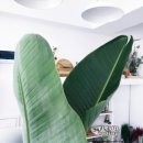 가음정로-1 이미지