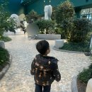 트윗젤남양주현대프리미엄아울렛 | 비오는 날 아이와 가기 좋은 실내 정원, 남양주 다산 현대프리미엄 아울렛 스페이스원 ‘모카가든’