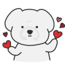 댕스얼랏 이미지