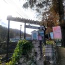 열정부엌 | 보문산 맛집 버섯 샤브 샤브 맛보기 유씨네부엌