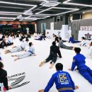 406주짓수