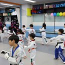 경희대 한 태권도장 이미지