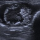 이레외과동물병원 이미지