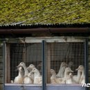 정윤미 농장 이미지