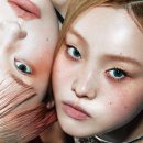 디스헤어터치