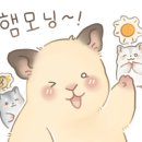 한올한올 눈썹, 속눈썹 주엽점 이미지