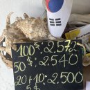 국수세탁소 | [6박 8일 나트랑/무이네 여행] 무이네 세탁소 환전, 쌀국수 맛집 초이오이(Choi oi) 추천 후기