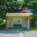 순이네가자 - 고흥군 고흥로 1783 | 순이네가자