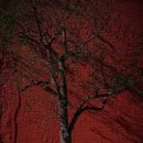 뉴웨이브 이미지