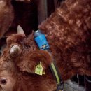 서우농장 이미지