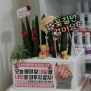 네일은랍다