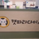 캣파라다이스 이미지