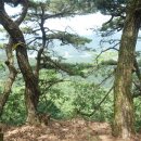 백마산주유소