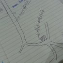 바람이불어오는곳 이미지