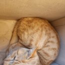 은하수 동물병원 이미지