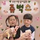 WR(인천광역시 남동구)-20[서창남순환로]-하-2 | 인천 서창 실내 동물원 쥬벅스 아이와 가볼만한곳 동물교감 특별한체험후기