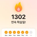 MY FIRST GYM | 스픽 불꽃 1302일 AI튜터 후기 전세계 5% 상위 이용자
