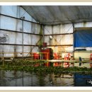 약산낚시터 이미지